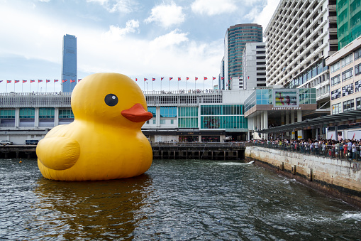HONG KONG - JUNE 7 2013: the giant duck in Hong Kong on June 7 2013. :Yellow Duck Sculpture By Florentijn Hofman outside Harbour City Mall in Hong Kong City. The Giant Rubber Yellow Duck Sculpture is scheduled to remain in Hong Kong until June 9th before it travels to the U.S, where its next port of call hasn’t yet been disclosed.