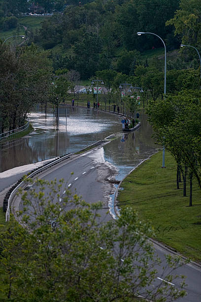 ilumina road junto al río bow en calgary - calgary street flood alberta fotografías e imágenes de stock