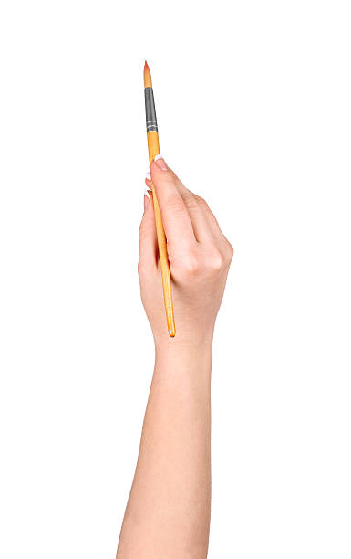 istock hand draws a brush on an isolated white background 471598732