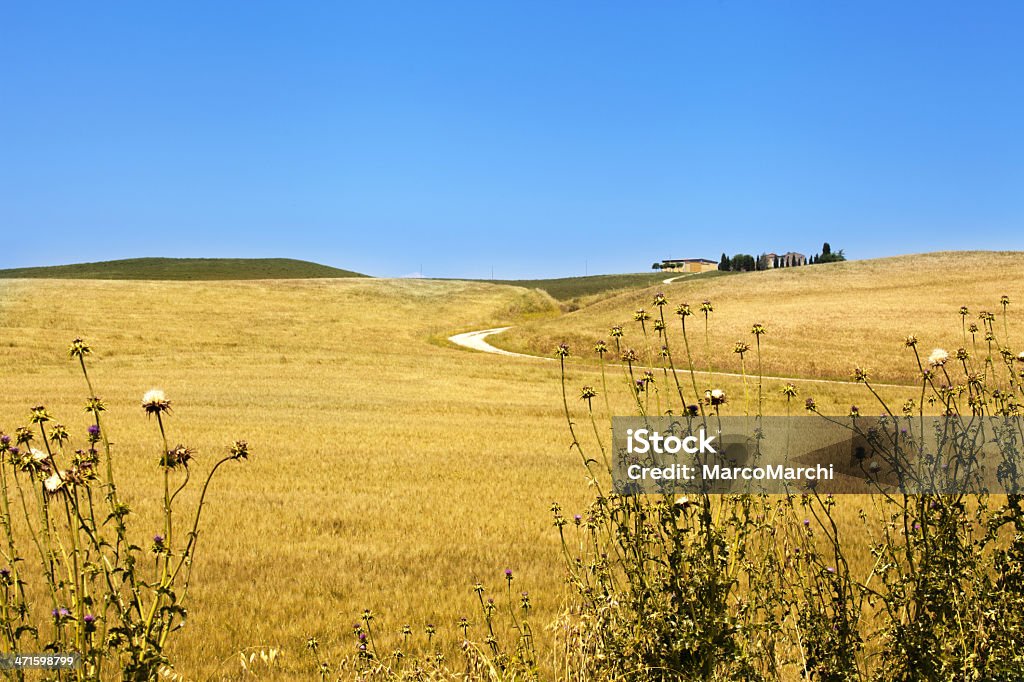 Paysage en Toscane - Photo de Agriculture libre de droits