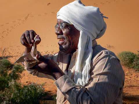 Lake Nasser, Egypt - December 10, 2013: Nubian Beduin is holding a hornviper in his hand