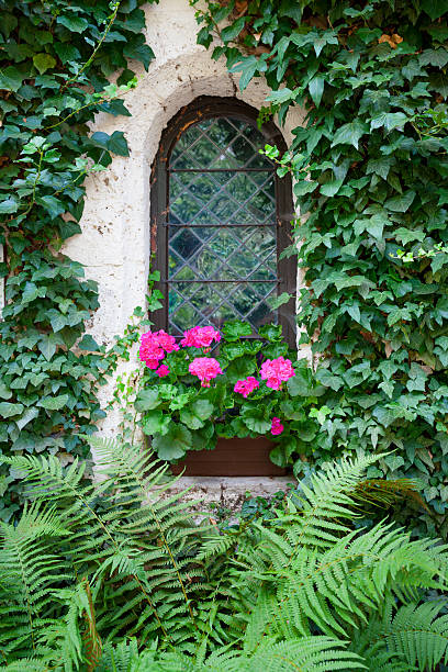 istock Castle window and vivid pink flowers 471599260