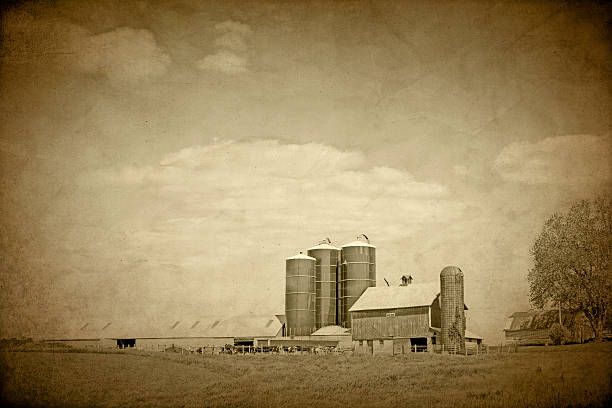 American Countryside - Vintage Design