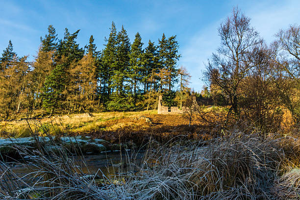 istock Frosted grass and Spital Cottage. 471600250