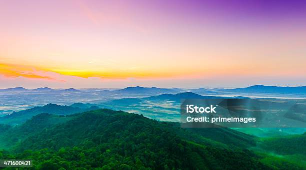 Hermoso Amanecer En Misty Mañana A Las Montañas Foto de stock y más banco de imágenes de Agricultura - Agricultura, Aire libre, Ajardinado