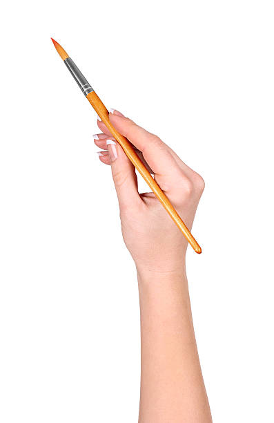 istock hand draws a brush on an isolated white background 471600430