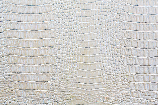 istock Crocodile skin white leather background 471603436