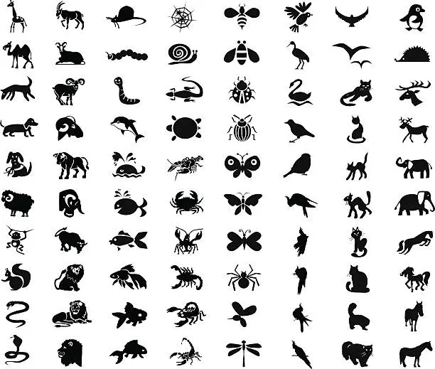 Vector illustration of animals, birds, insects icons