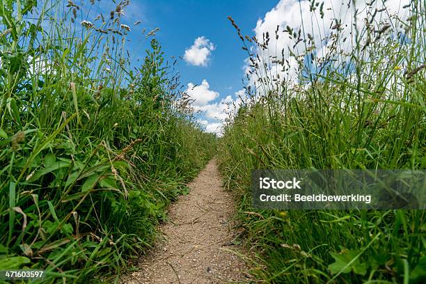 Kleine Natur Strecke Mit Hoher Pflanzen Stockfoto und mehr Bilder von Aufnahme von unten - Aufnahme von unten, Blau, Einspurige Straße