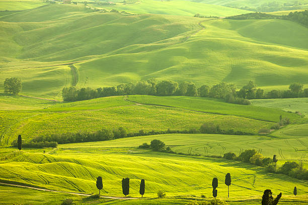 Val d'Orcia, Siena Province, Pienza, Tuscany, Italy,