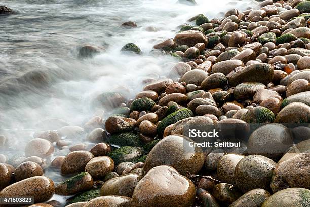 Mokre Otoczaki Na Plaży Z Niewyraźne Wody Maine Stany Zjednoczone - zdjęcia stockowe i więcej obrazów Bez ludzi