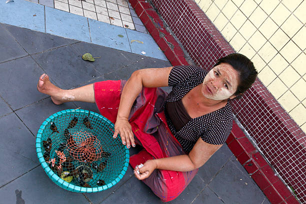 Woman selling birds for offerings Sule Pagoda stock photo