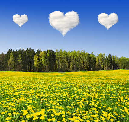 Heart from clouds above the spring landscape 