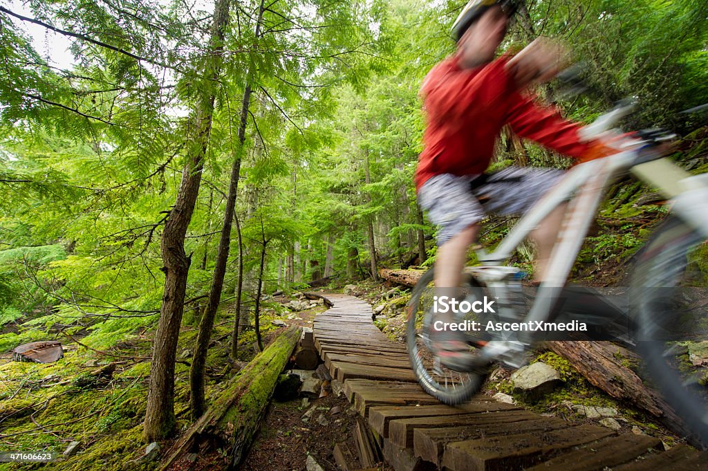 XC bike - Foto stock royalty-free di Ambientazione esterna