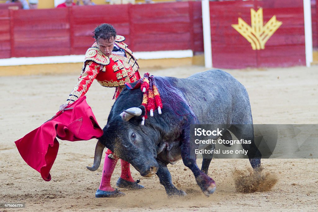 ferrera06 Badajoz, Spain- June 22, 2013: Ferrera bullfighter make a "pase de pecho" to bull in a bullfight Bullfight Stock Photo