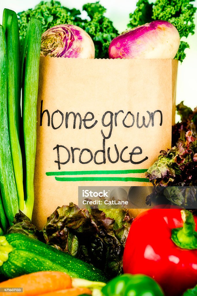 Home Grown ingredienti freschi biologici - Foto stock royalty-free di Abbondanza