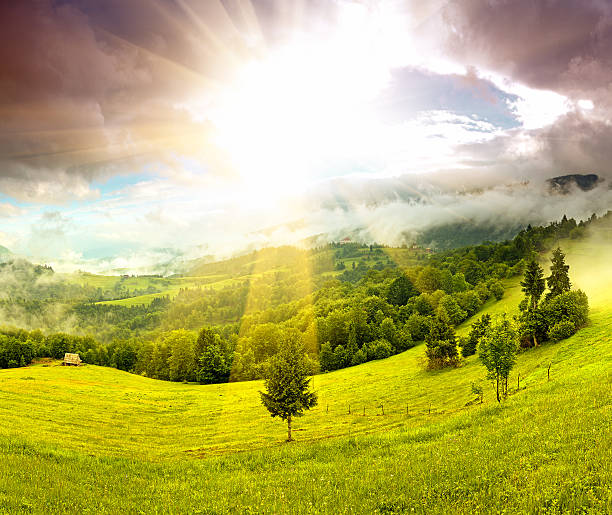 istock Morning landscape in the mountains. Carpathian 471607487