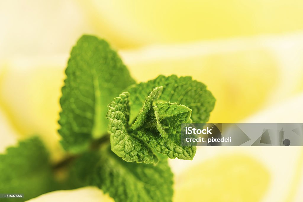 Fette di limone e menta - Foto stock royalty-free di Cibo