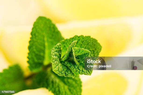 Fette Di Limone E Menta - Fotografie stock e altre immagini di Cibo - Cibo, Close-up, Colore brillante