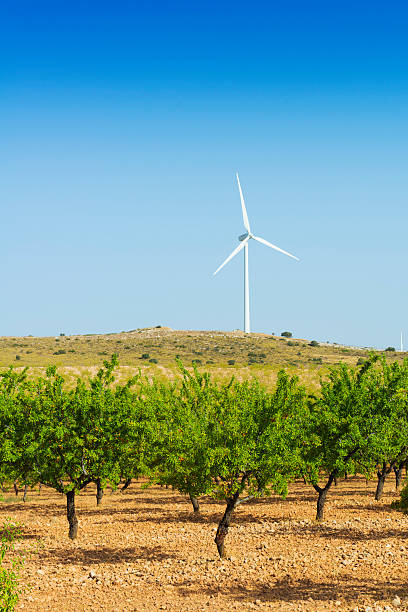 Alternative energy in southern Spain stock photo