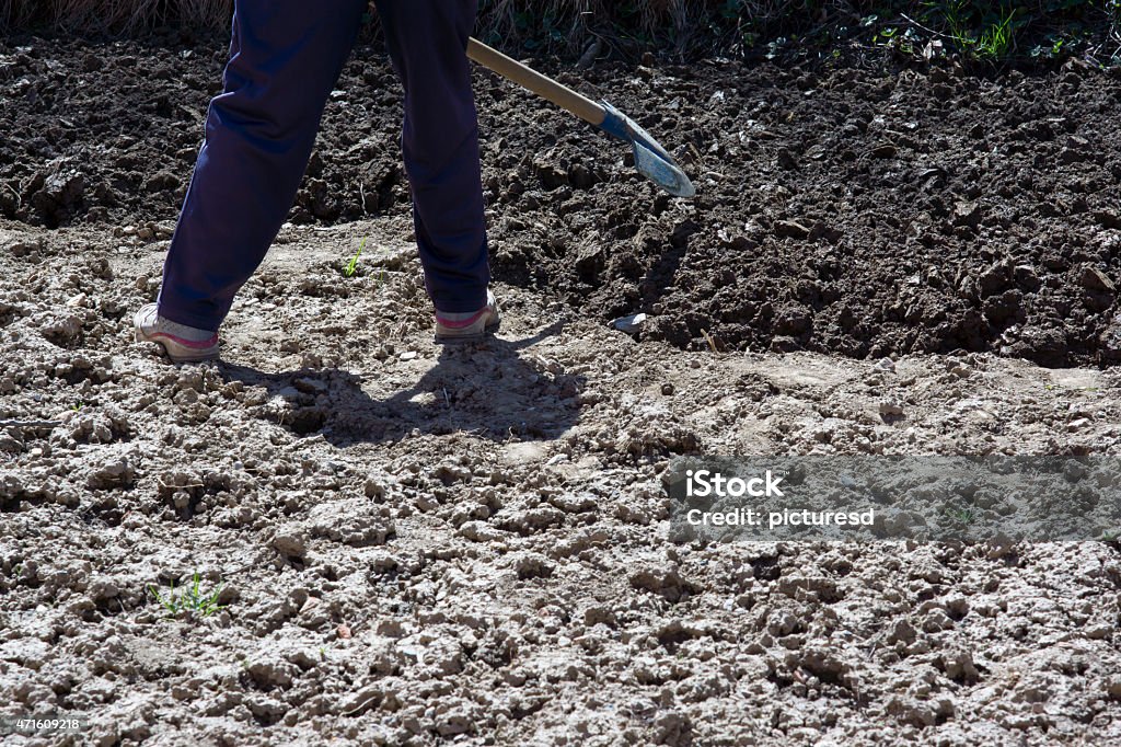 Spring field work A worker with a shovel. 2015 Stock Photo