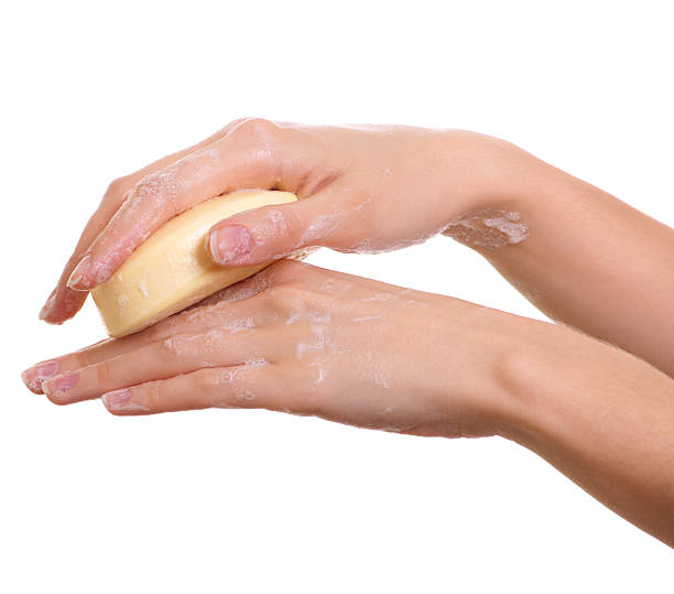 istock Female hands in soapsuds isolated on white 471609309