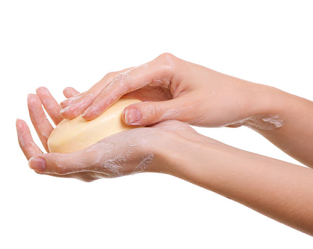Female hands in soapsuds isolated on white