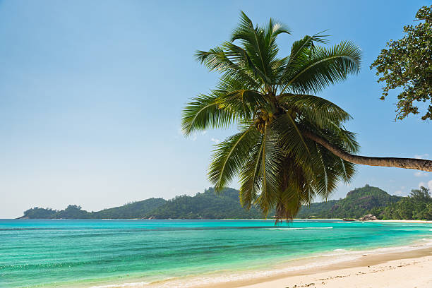 istock Tropical beach at Mahe island Seychelles 471609338