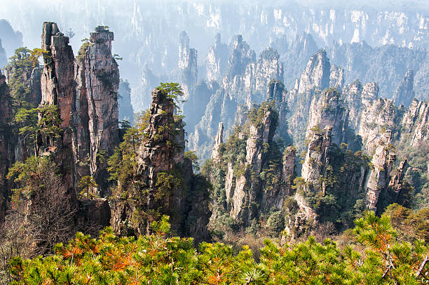 Zhangjiajie national geological Forest Park Zhangjiajie national geological Forest Park hunan province photos stock pictures, royalty-free photos & images