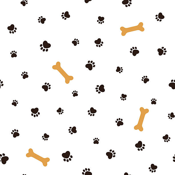 illustrazioni stock, clip art, cartoni animati e icone di tendenza di sfondo senza soluzione di continuità a tema di cane - dog animal bone dog bone dog food