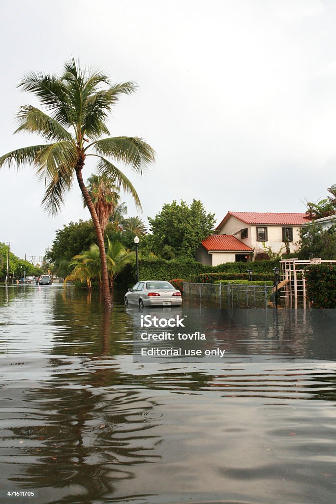 Inundaciones En Miami Beach Foto de stock y más banco de imágenes de Florida  - Estados Unidos - Florida - Estados Unidos, Inundación, Meteorología  extrema - iStock
