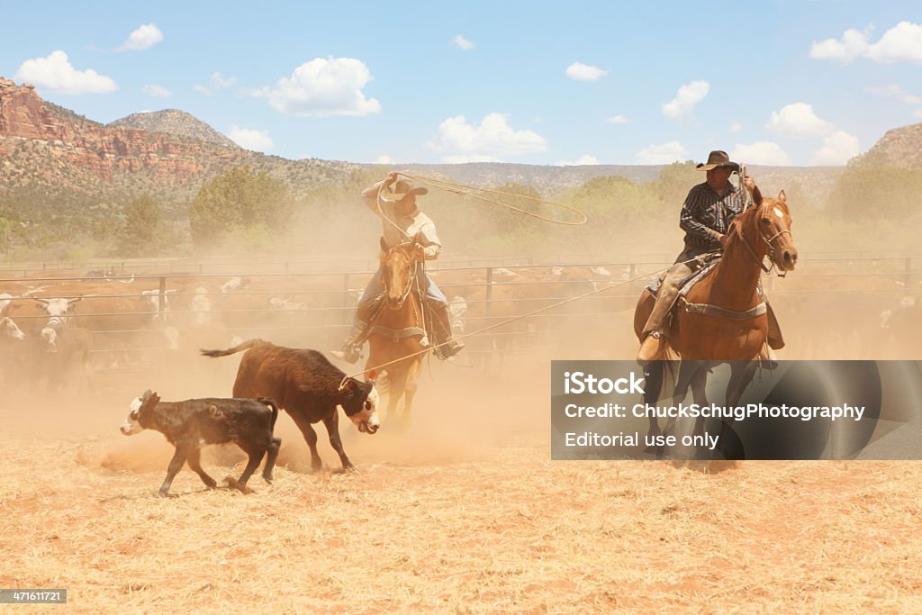 Reiten Cowboys Lasso-Rind - Lizenzfrei Pferd Stock-Foto