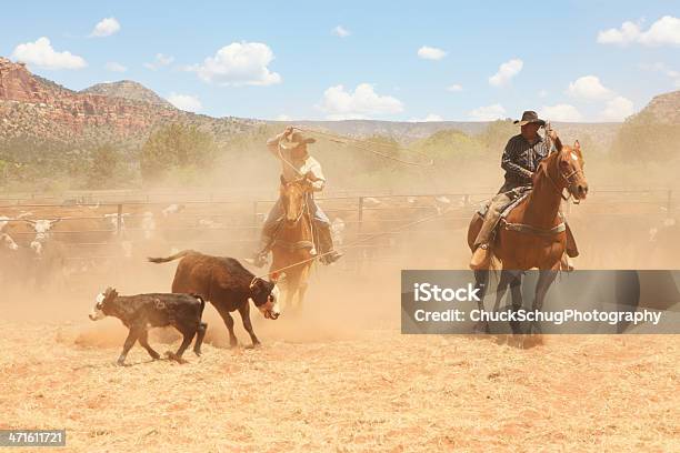 Gado Horseback Cowboys Laço De Corda - Fotografias de stock e mais imagens de Andar de Pónei - Andar de Pónei, Cavalo - Família do Cavalo, Rancheiro