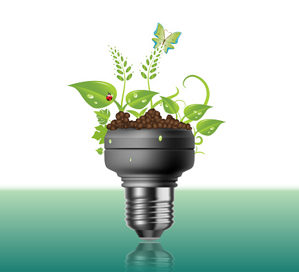 A light bulb with plants and a butterfly and ladybug - Illustration