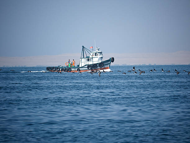 Paracas, Peru - May 24, 2013: Fishing boat out at sea off the Pacific coast of the Peruvian fishing village of Paracas. Crew members are visible on the deck