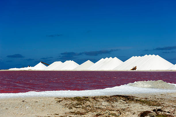 istock saltplain on the island of bonaire 471612487