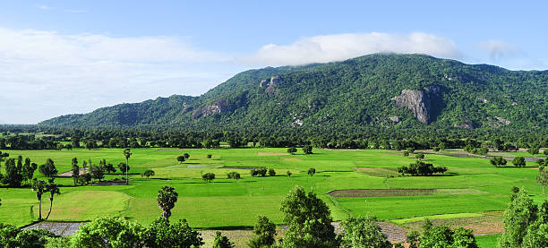 istock Beautiful view of rice field 471612974