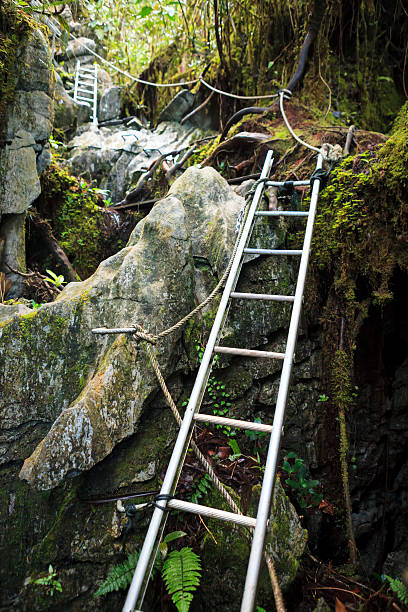 istock Pinnacles trek in gunung mulu national park 471613396