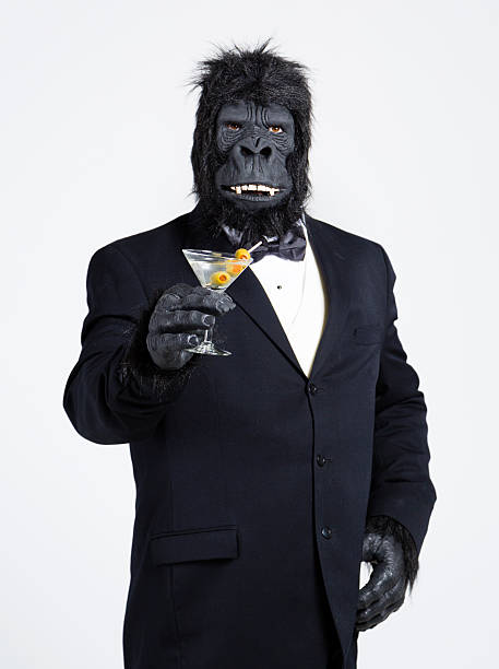 gorilla in einem smoking - monkey mask animal ape stock-fotos und bilder