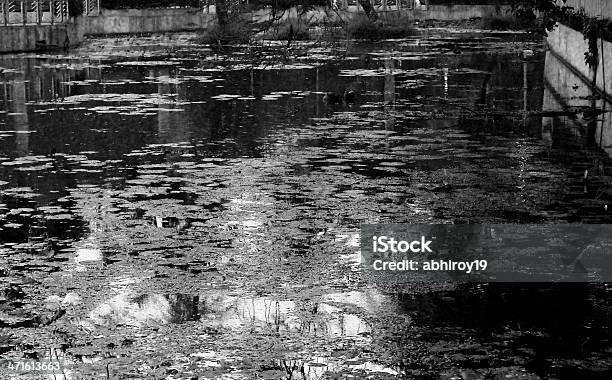 Brudny Pond - zdjęcia stockowe i więcej obrazów Bliskie zbliżenie - Bliskie zbliżenie, Brudny, Czarno biały
