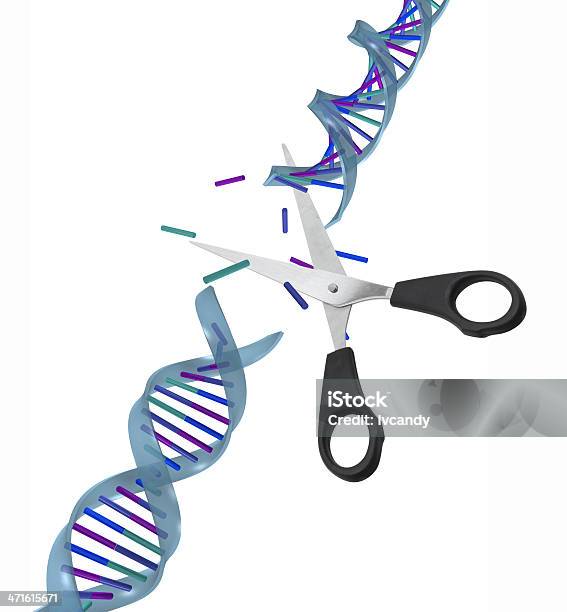 Adn Fractura Molecular - Fotografias de stock e mais imagens de Tesoura - Tesoura, ADN, Partido