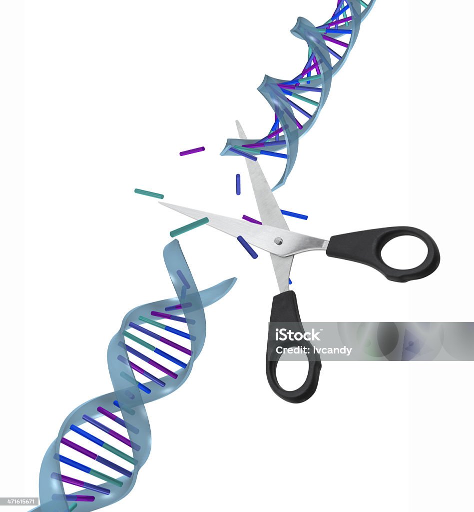 ДНК молекулярной перелом - Стоковые фото Ножниц�ы роялти-фри
