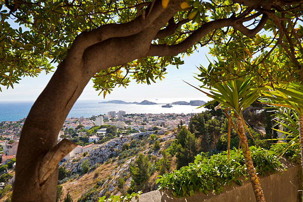 istock Marseille, France 471615705