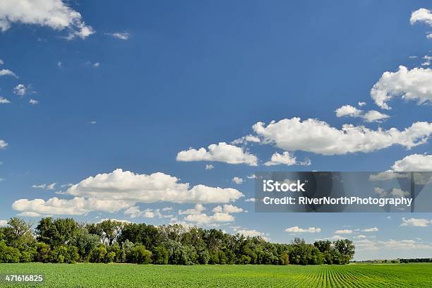 Sanfte Hügellandschaften Iowa Stockfoto und mehr Bilder von Agrarbetrieb - Agrarbetrieb, Cumulus, Feld