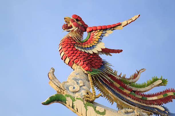 Phoenix no Templo Chinês. - fotografia de stock