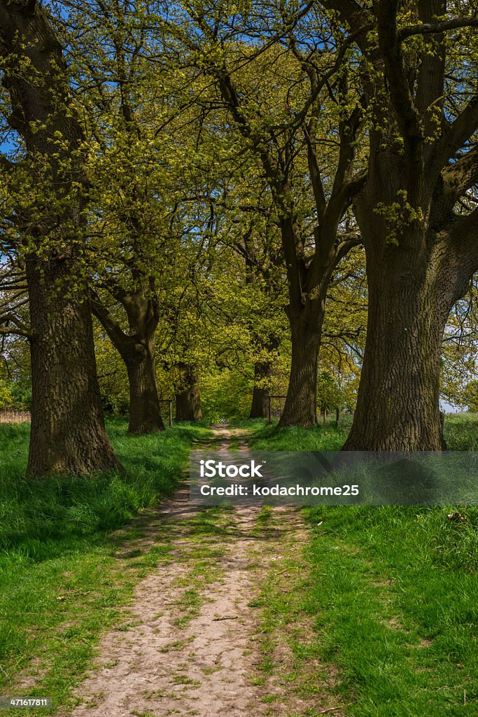 gate a footpath and public bridleway through the countryside Accessibility Stock Photo