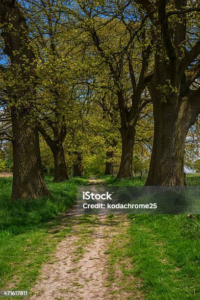 Gate Stock Photo - Download Image Now - Accessibility, Active Lifestyle, Agriculture