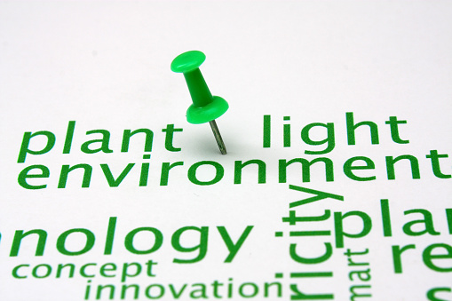 Push pin on ecology word cloud