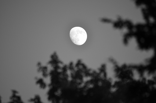 moon in black and white