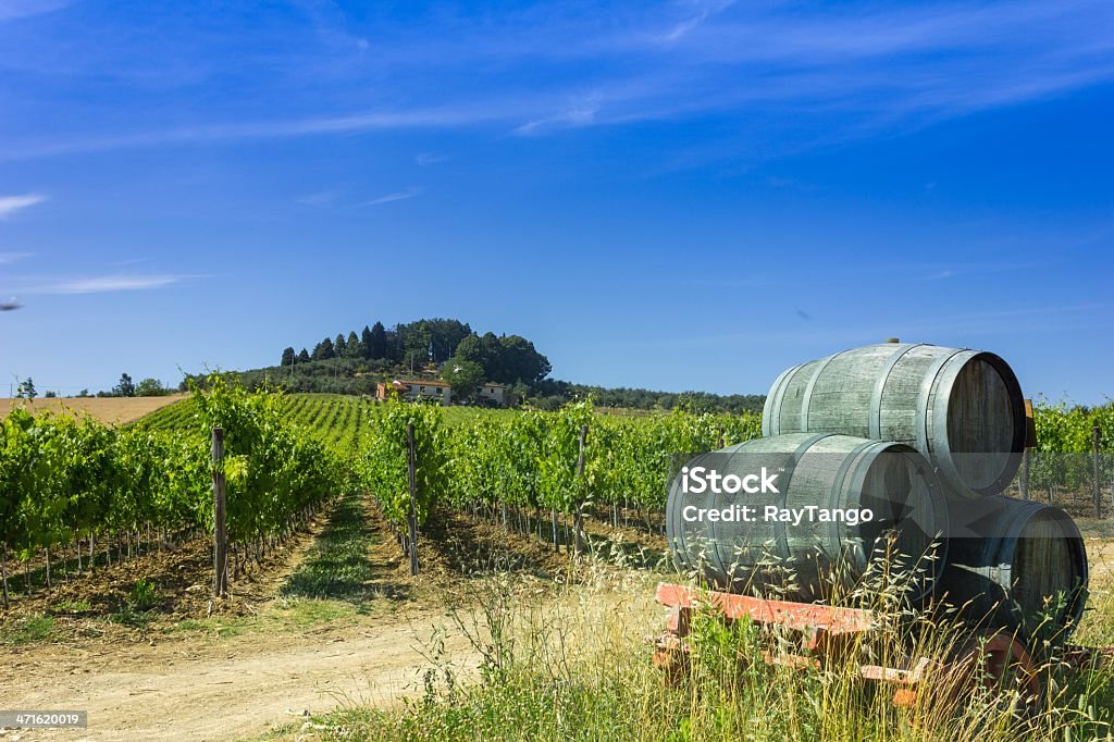 Toscana Viñedo vino y barriles - Foto de stock de Agricultura libre de derechos